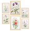 POSTER Set Mit 6 Orchideen & Nelken A3 & A4 Rahmen Aus Hellem Holz - Beige, Papier (29/3cm) - Nacnic