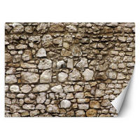 VLIESTAPETE Braun 150/105 cm - Braun, Papier (150/1cm) - KUNSTLOFT