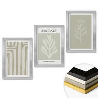WANDBILDER 3er Set - 20x30 cm Silberner Rahmen - Abstrakte Pflanzenmuster - Silberfarben, Kunststoff (20/30cm) - ArtPrintCave