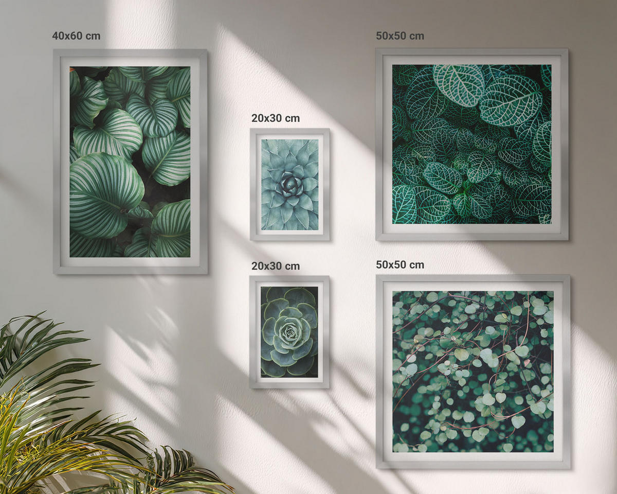 BILDER SET 5er Set - 50x50 cm & 20x30 cm & 40x60 cm Silberner Rahmen - Meerstrand Zitronen Berge - Silberfarben, Kunststoff (40/60cm) - TULUP