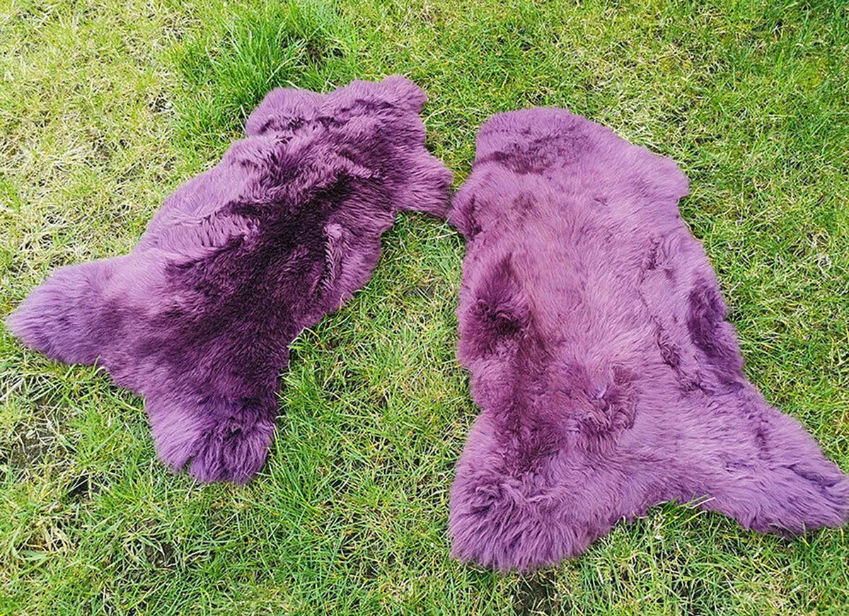 LAMMFELL Öko bunt gefärbt weich Fell Teppich Amethyst ca. 110 cm - Violett, Fell (60/110cm) - Provellus