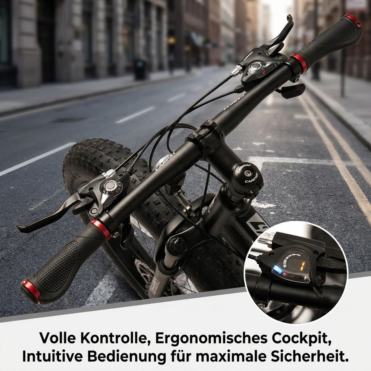MOUNTAINBIKE 26 Zoll Schwarz + Weiß – 4.0 Zoll Fettreifen – 2x8 Gangschaltung – Aluminiumlegierung - Schwarz, Metall (24cm) - Oxeza
