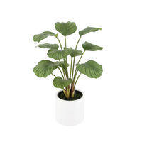 KUNSTPFLANZE Künstliche Calathea - Juana 68 cm - Grün, Kunststoff (68cm) - aplanta