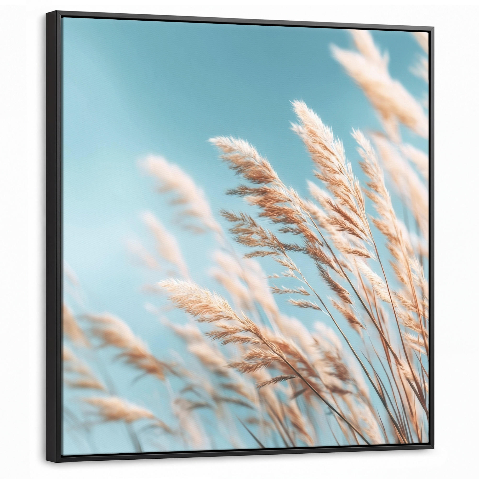 LEINWAND Bilder mit Rahmen - Ziergras - Wind - Hellbraun - 90x90 - Hellblau, Textil (90/90cm) - MuchoWow