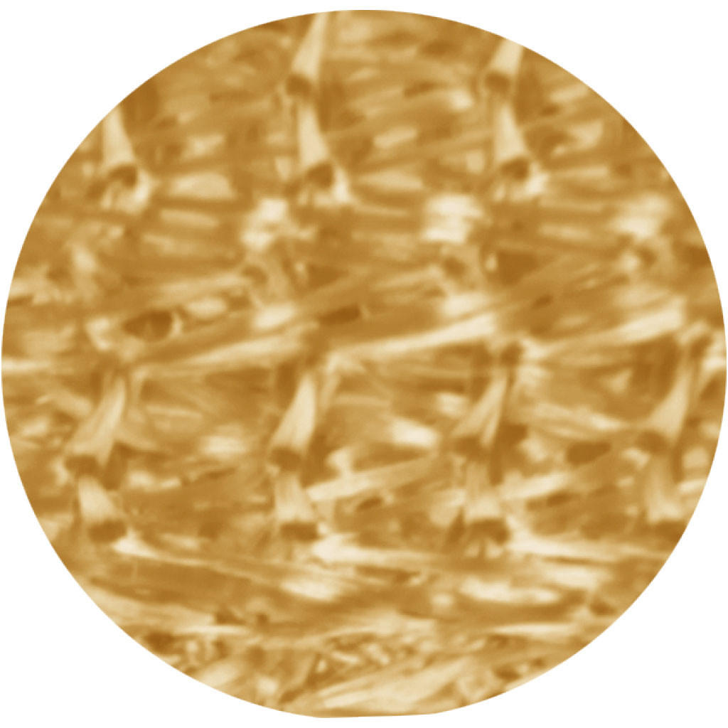 FADENVORHANG 90 cm x 240 cm Fadengardine (Gold) Ideal als Insektenschutz oder Raumteiler - Goldfarben, Textil (90/240cm) - Bestlivings
