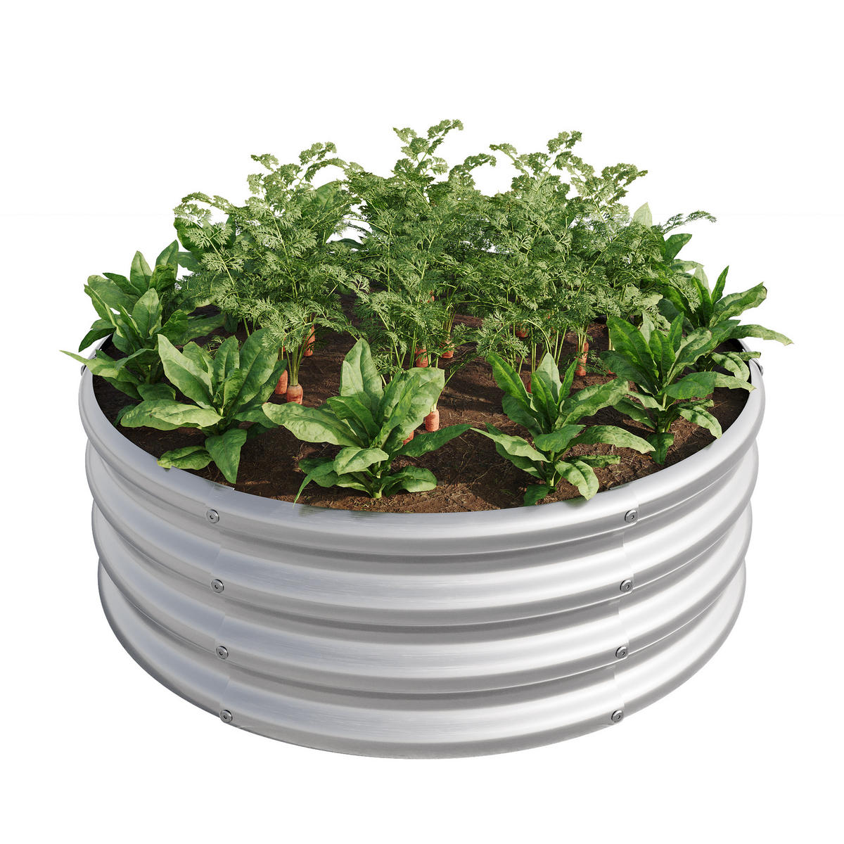 HOCHBEET 81.5/81.5/13 cm Silber - Silberfarben, Metall (80/30/80cm) - Oxeza