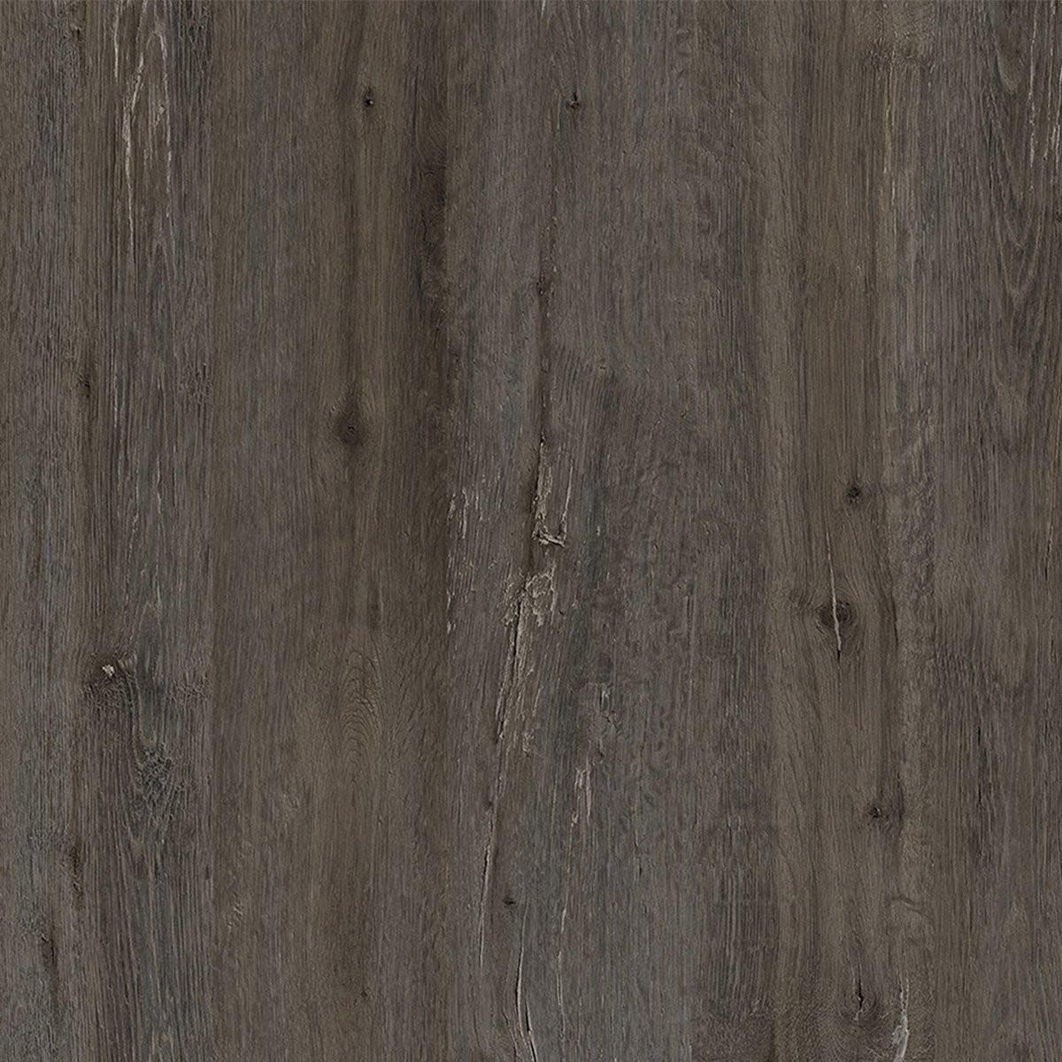 SCHUHSCHRANK 4 Türen L105 cm - Dude - Graubraun, Holzwerkstoff (26/118.5/105cm) - Calicosy
