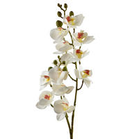 UMĚLÁ KVĚTINA Viridis, 65 cm - krémová, plast (65cm) - Mondex