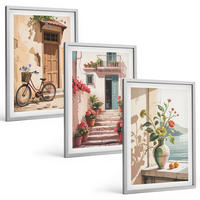 BILDER SET 3er Set - 40x60 cm Silberner Rahmen - Straßen, Blumen und Fahrräder - Silberfarben, Kunststoff (40/60cm) - TULUP
