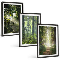 BILDER SET 3er Set - 40x60 cm Schwarzer Rahmen - Grüne Wälder mit Lichtstrahlen - Schwarz, Kunststoff (40/60cm) - TULUP