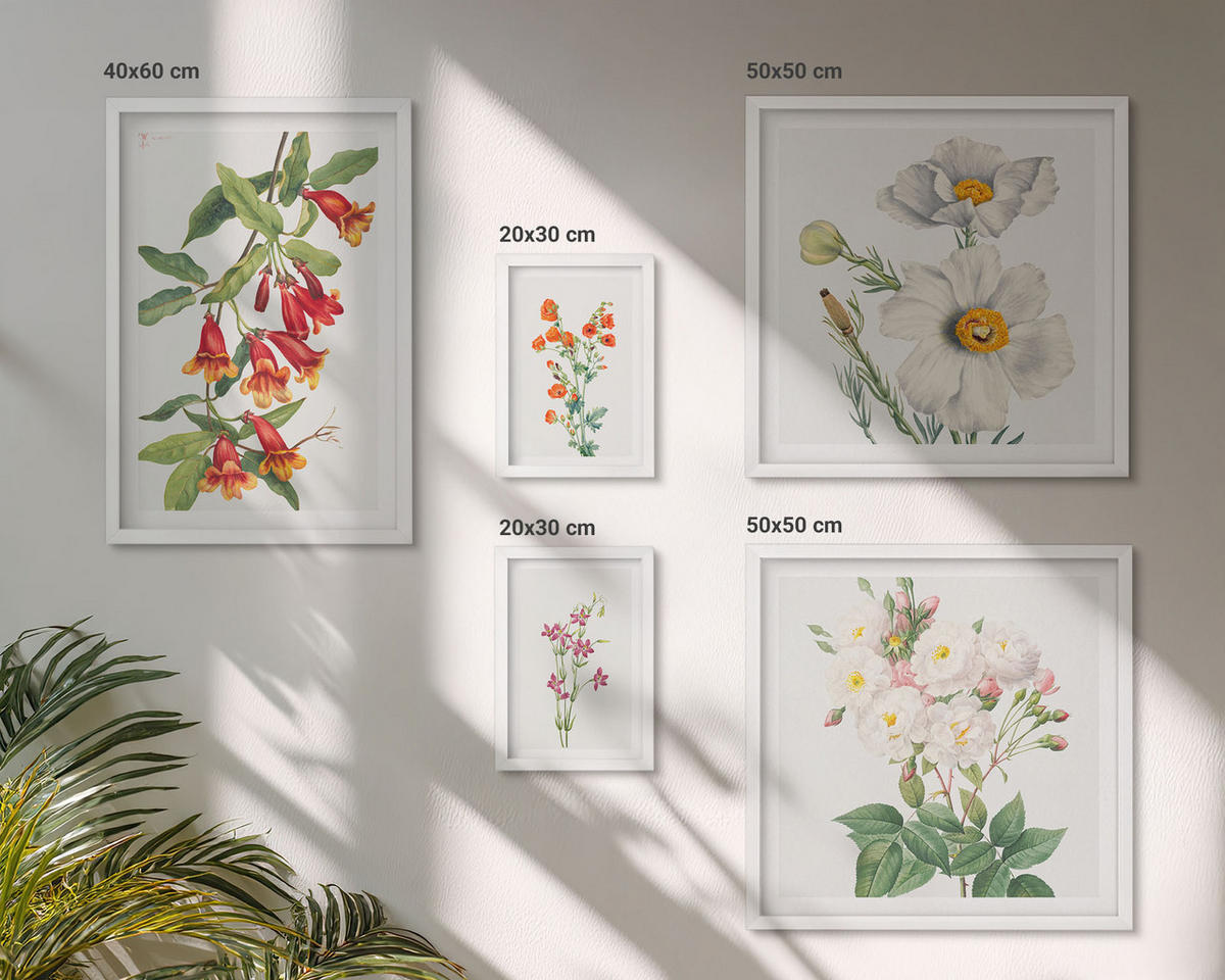WANDBILDER 5er-Set - 50x50 cm & 20x30 cm & 40x60 cm Weißer Rahmen - Blumenmalerei im Retro-Stil - Weiß, Kunststoff (40/60cm) - ArtPrintCave