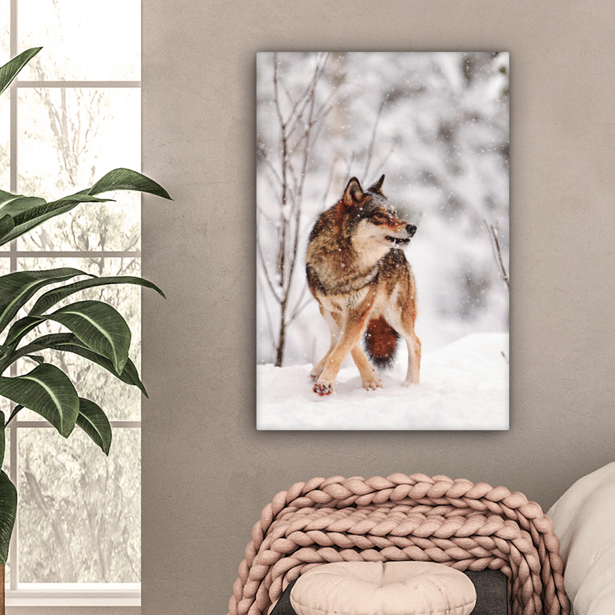 LEINWANDBILD Wolf - Winter - Schnee - Natur - Tiere 60x90 cm - Haselnussfarben, Textil (60/90cm) - MuchoWow