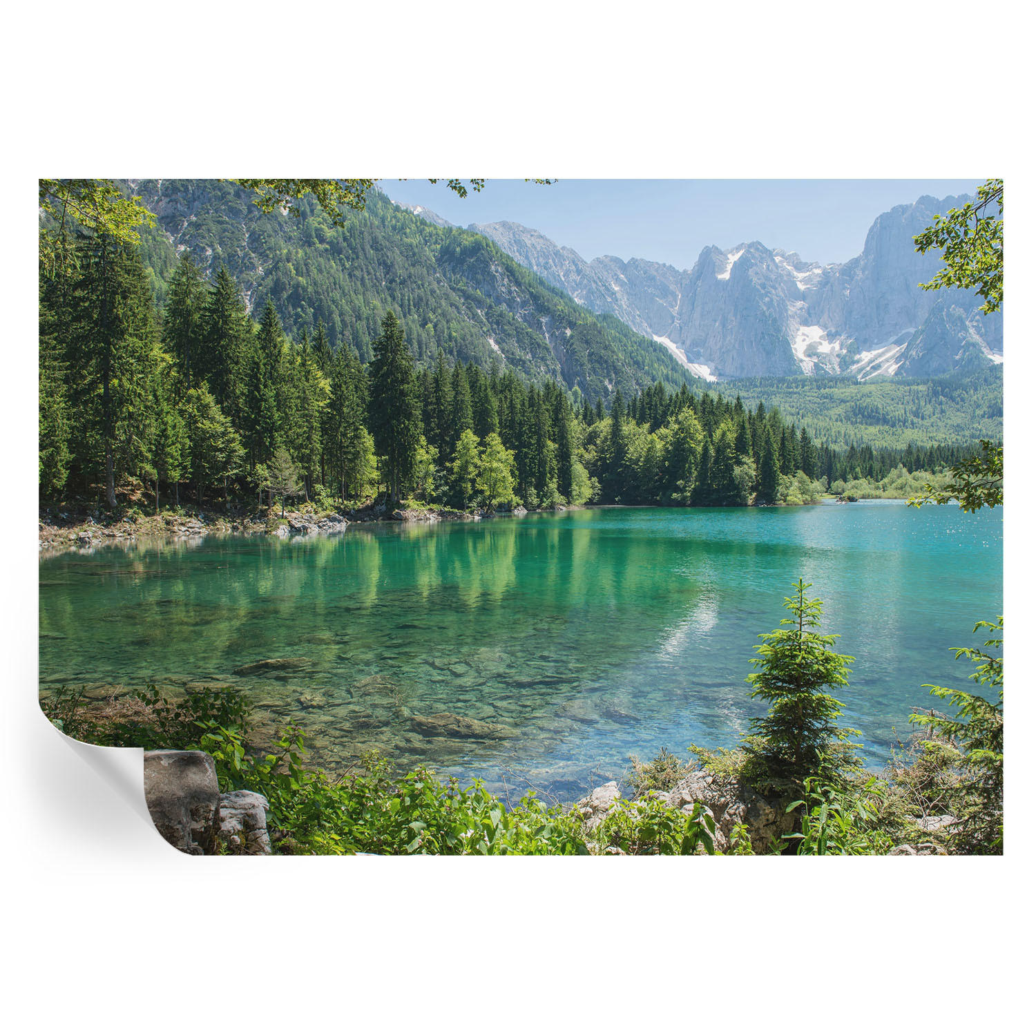 FOTOTAPETE 208x146 cm - Grüner See - Grün, Textil (208/146cm) - Wallfluent