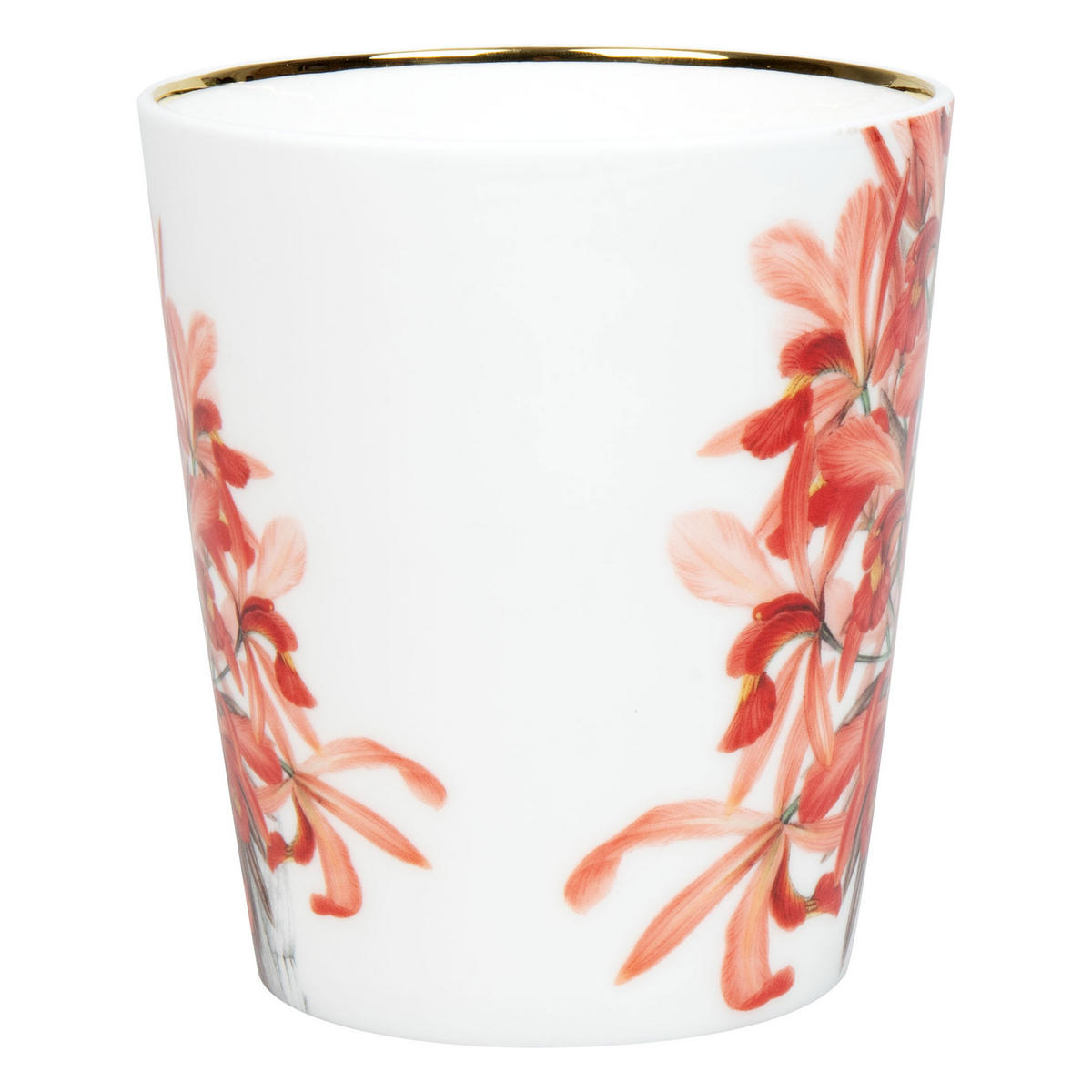 KAFFEEBECHER Laelia superbiens, in Geschenkbox - Naturfarben, Keramik (0.6L) - Könitz