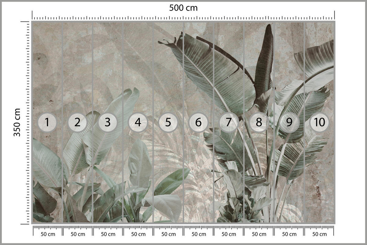 FOTOTAPETE für Büro Beton Bananenblätter Abstrakt Pflanzen Vintage 500x350 - Beige/Braun, Papier (500/350cm) - Muralo