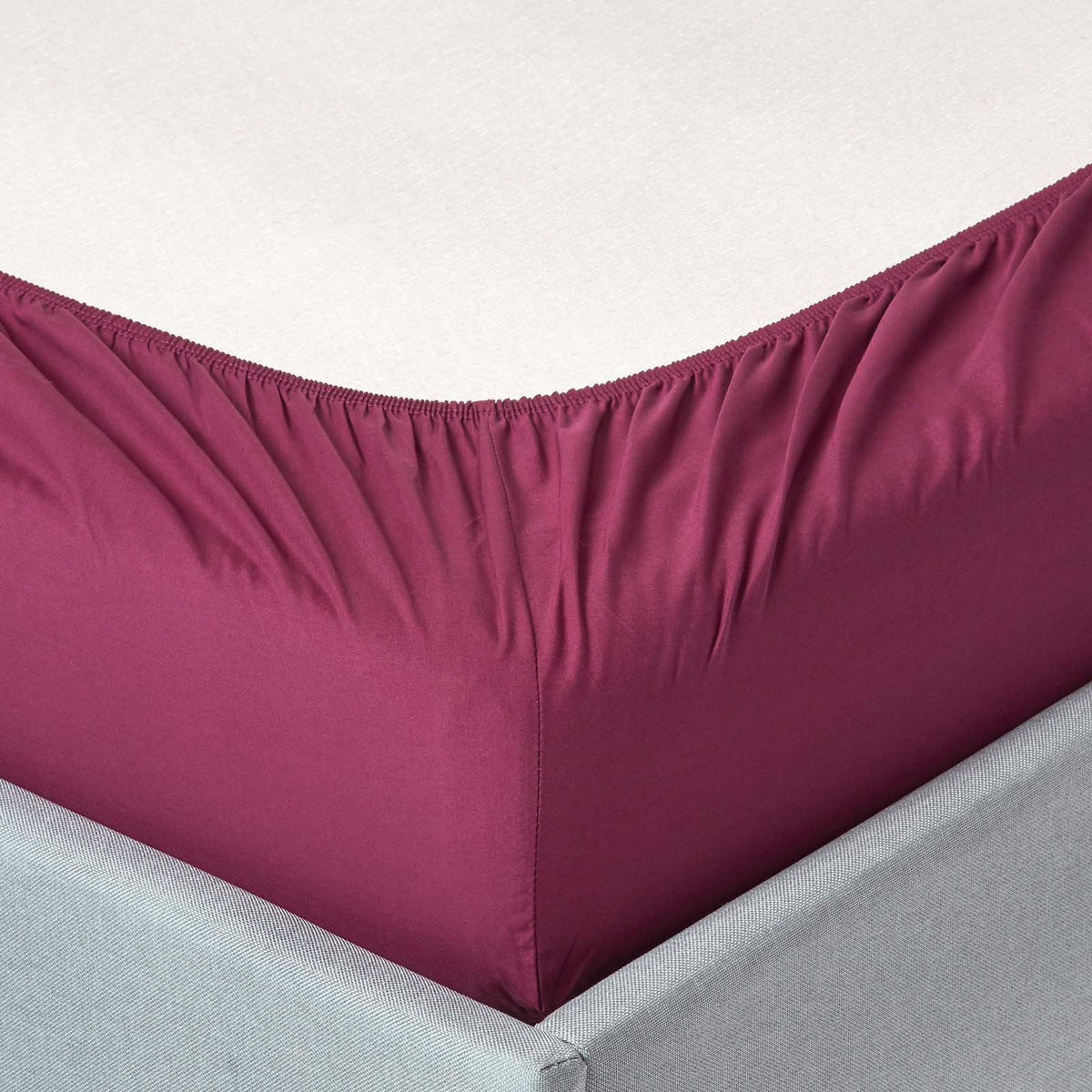 PERKAL-SPANNBETTLAKEN, Ägyptische Baumwolle, Fadendichte 200 - Beere, Textil (160/200cm) - Homescapes