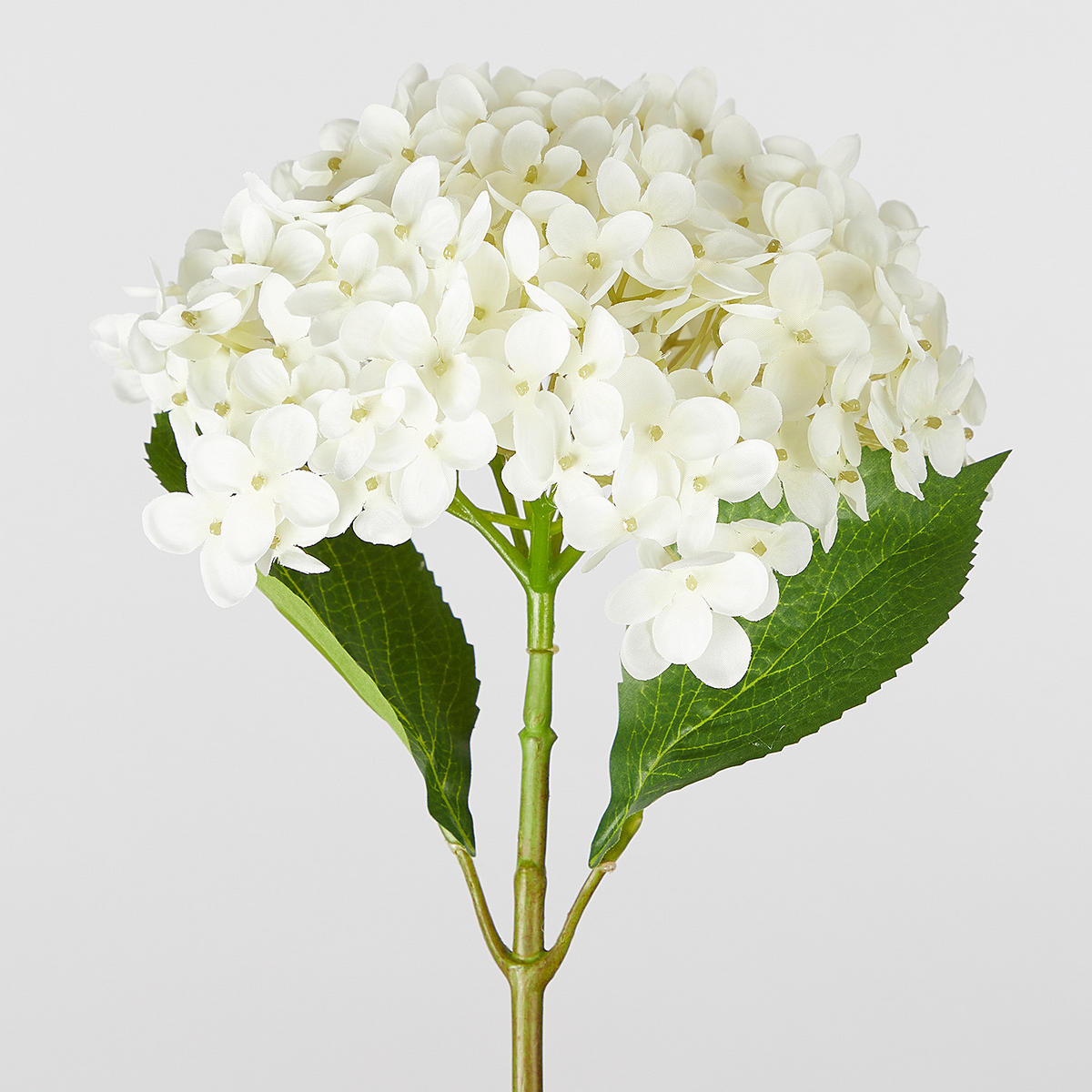 KUNSTBLUME Florista Hortensie - Weiß, Kunststoff (63cm) - Butlers