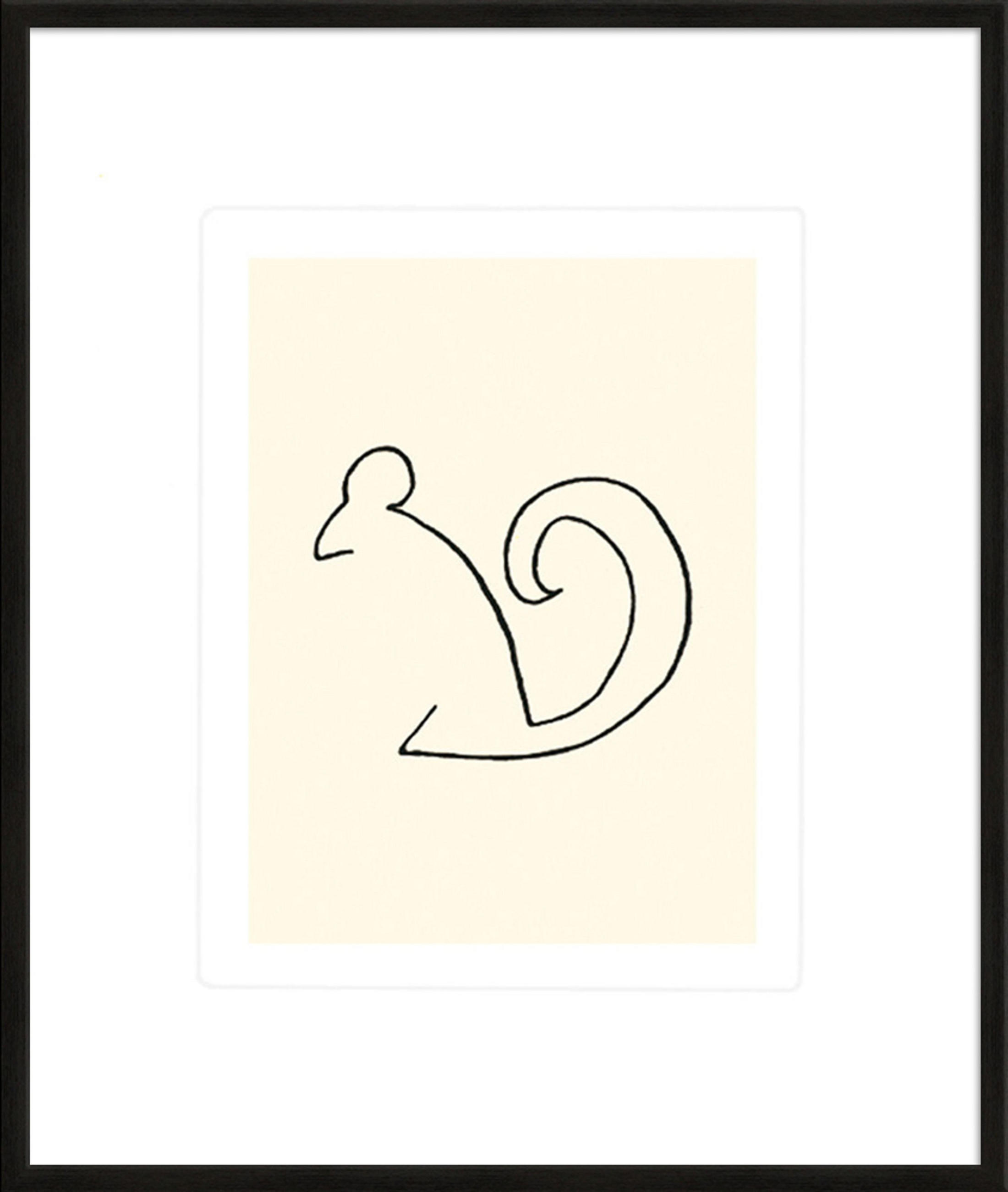 BILD gerahmt 53x63 cm Pablo Picasso „Eichhörnchen“ - Weiß, Holz (53/63cm) - artissimo