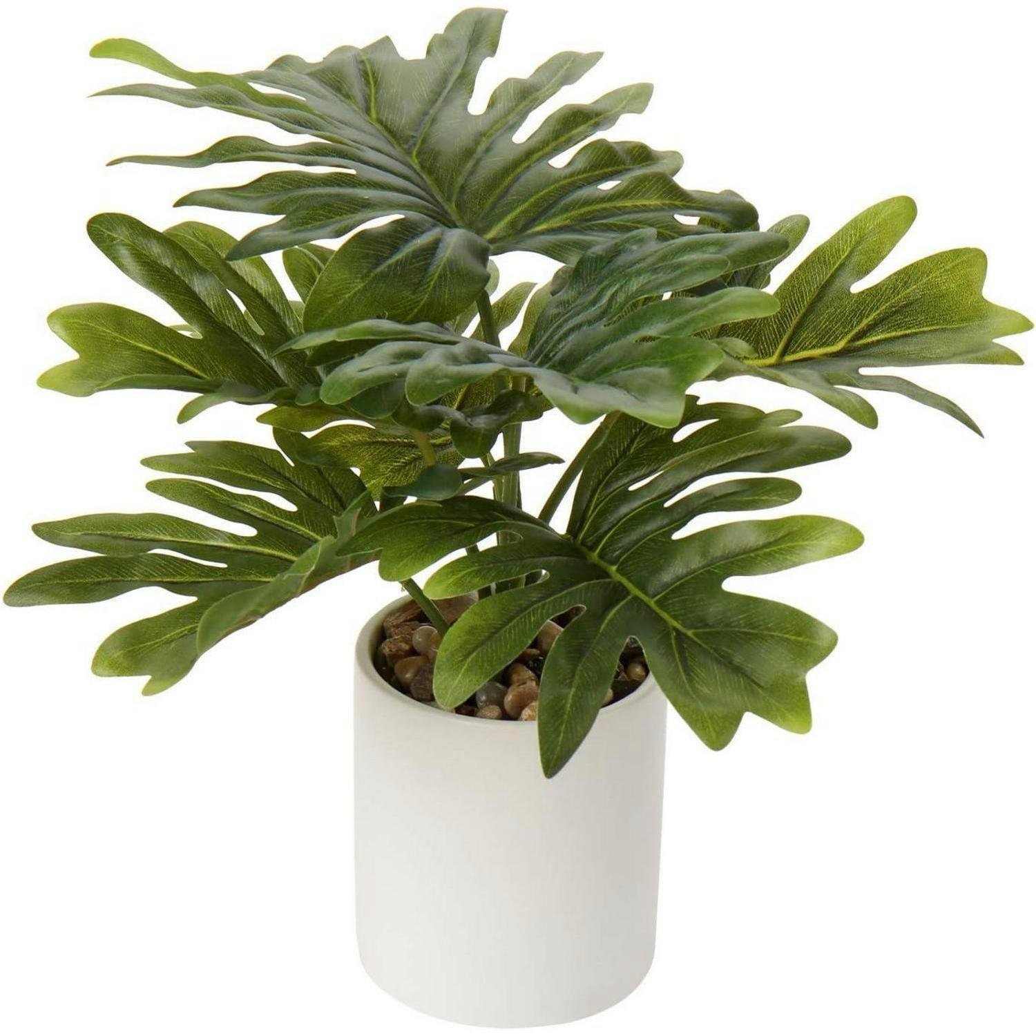 KUNSTPFLANZE Monstera im Topf 31 cm - Grün, Kunststoff (45.7cm)
