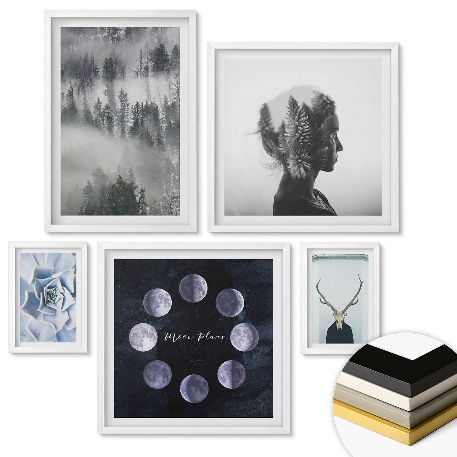 WANDBILDER 5er-Set - 50x50 cm & 20x30 cm & 40x60 cm Weißer Rahmen - Waldnebel, Mond, Schädel, Frau - Weiß, Kunststoff (40/60cm) - ArtPrintCave
