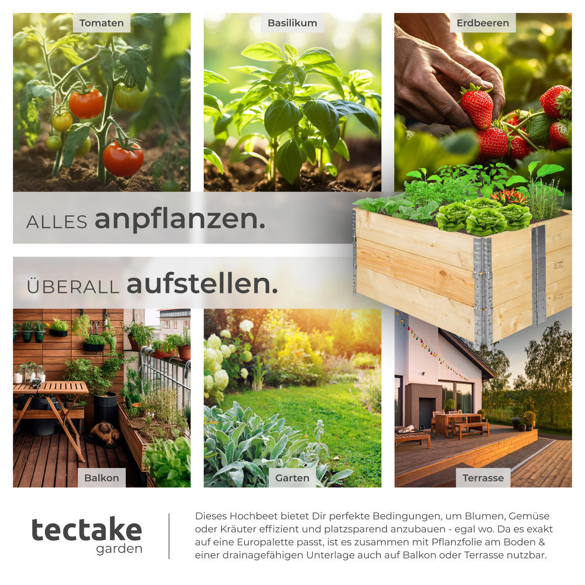 HOCHBEET 3er Set, 120 x 80 x 19 cm, holzdekor - Eiche Artisan, Holz (80/19/120cm) - tectake