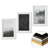 WANDBILDER 3er-Set - 20x30 cm Weißer Rahmen - Grüne Wälder Nebel Natur - Weiß, Kunststoff (20/30cm) - ArtPrintCave