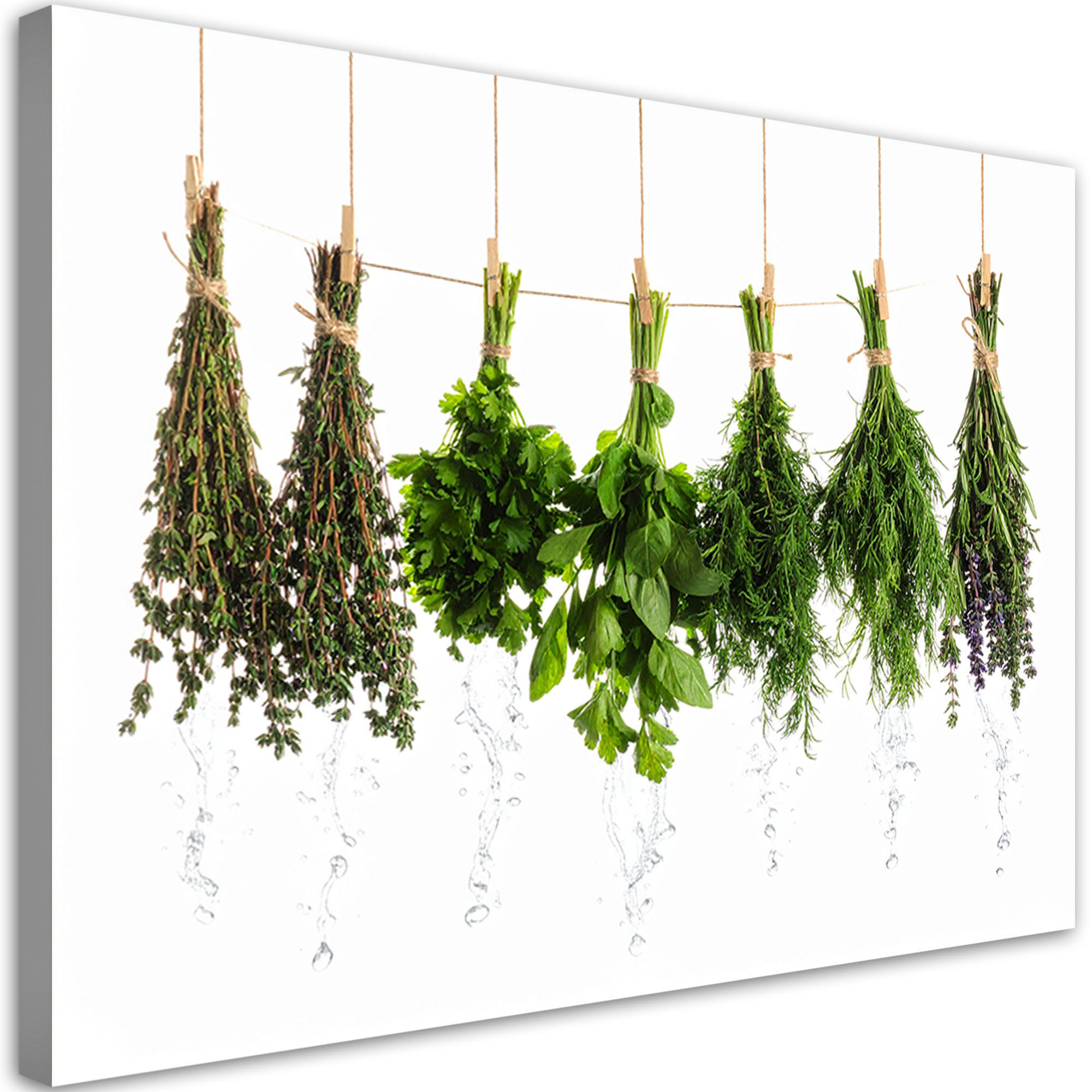 LEINWANDBILD Kräuter Gewürze Pflanzen 120x80cm - Grün, Textil (120/80cm) - Feeby