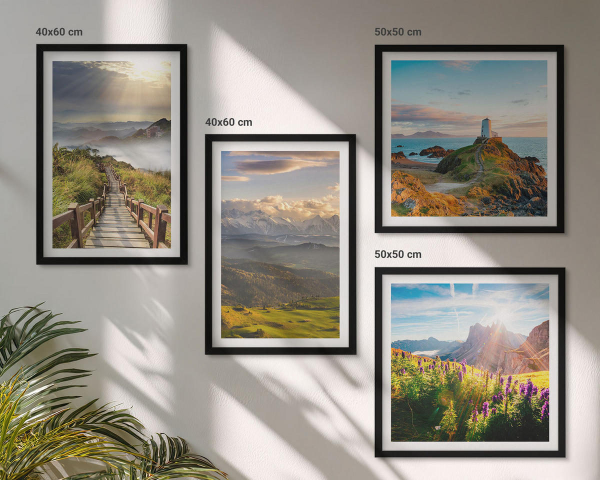 BILDER SET 4er Set - 50x50 cm & 40x60 cm Schwarzer Rahmen - Bergblumen Himmelsweg - Schwarz, Kunststoff (50/50cm) - TULUP