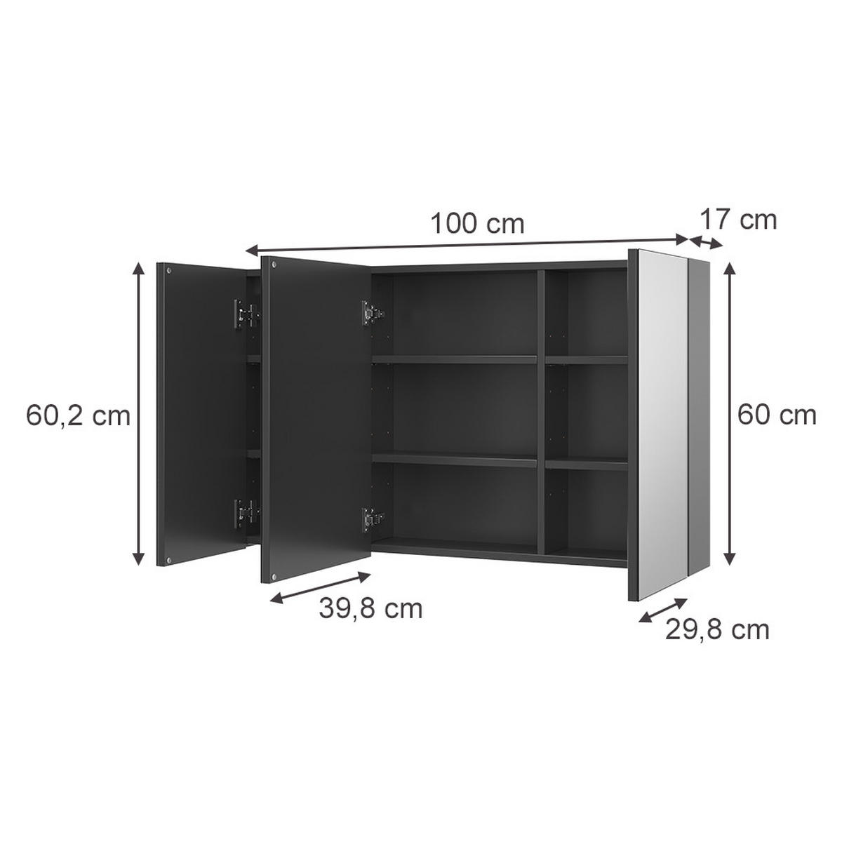 KOPALNIŠKA OMARICA Z OGLEDALOM Lavia, Antracit, 100 x 60.2 cm - antracit, leseni material (100/170/17cm) - Vicco