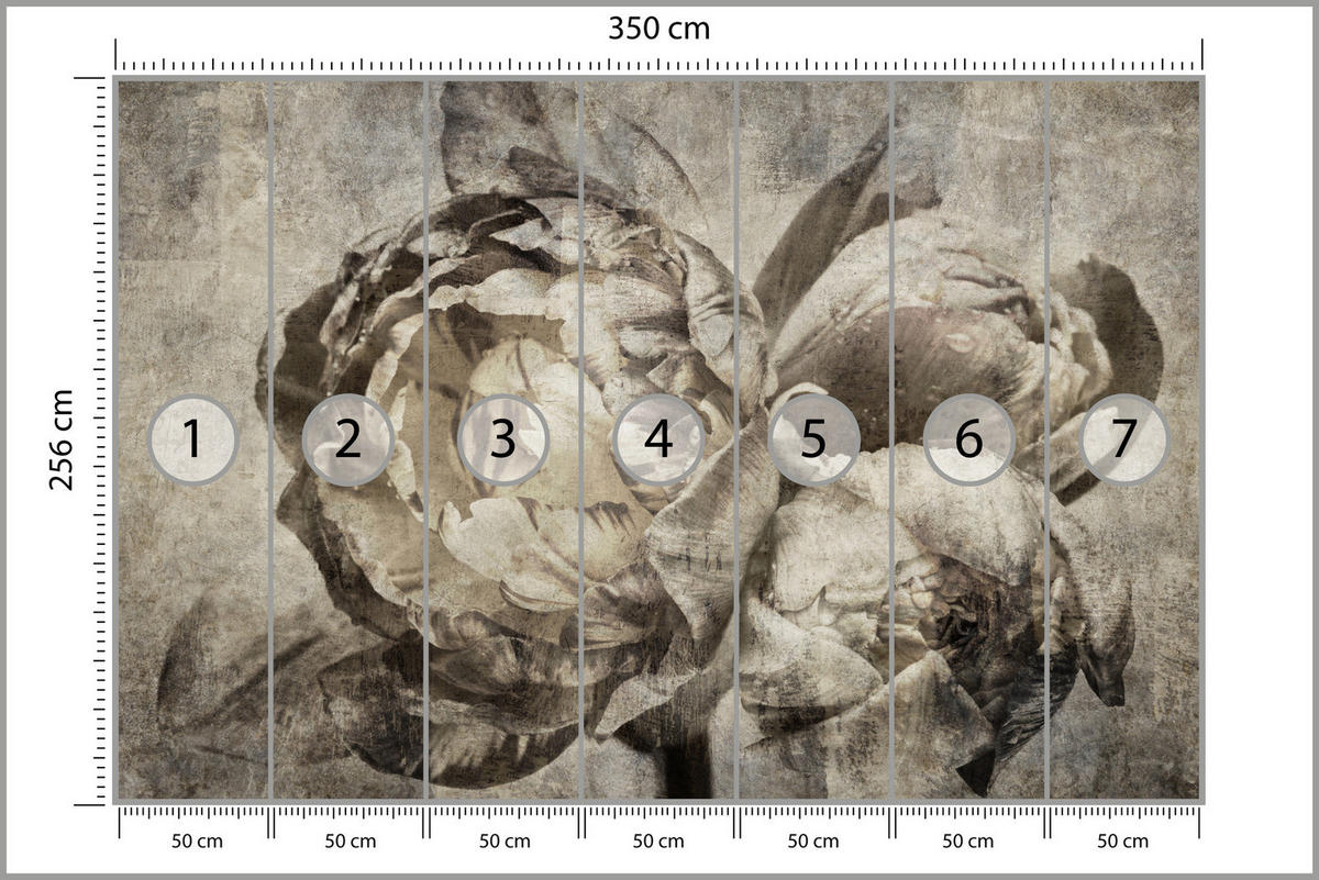 FOTOTAPETE Pfingstrosen Blumen Beton Vintage 350x256 - Beige/Braun, Papier (350/256cm) - Muralo