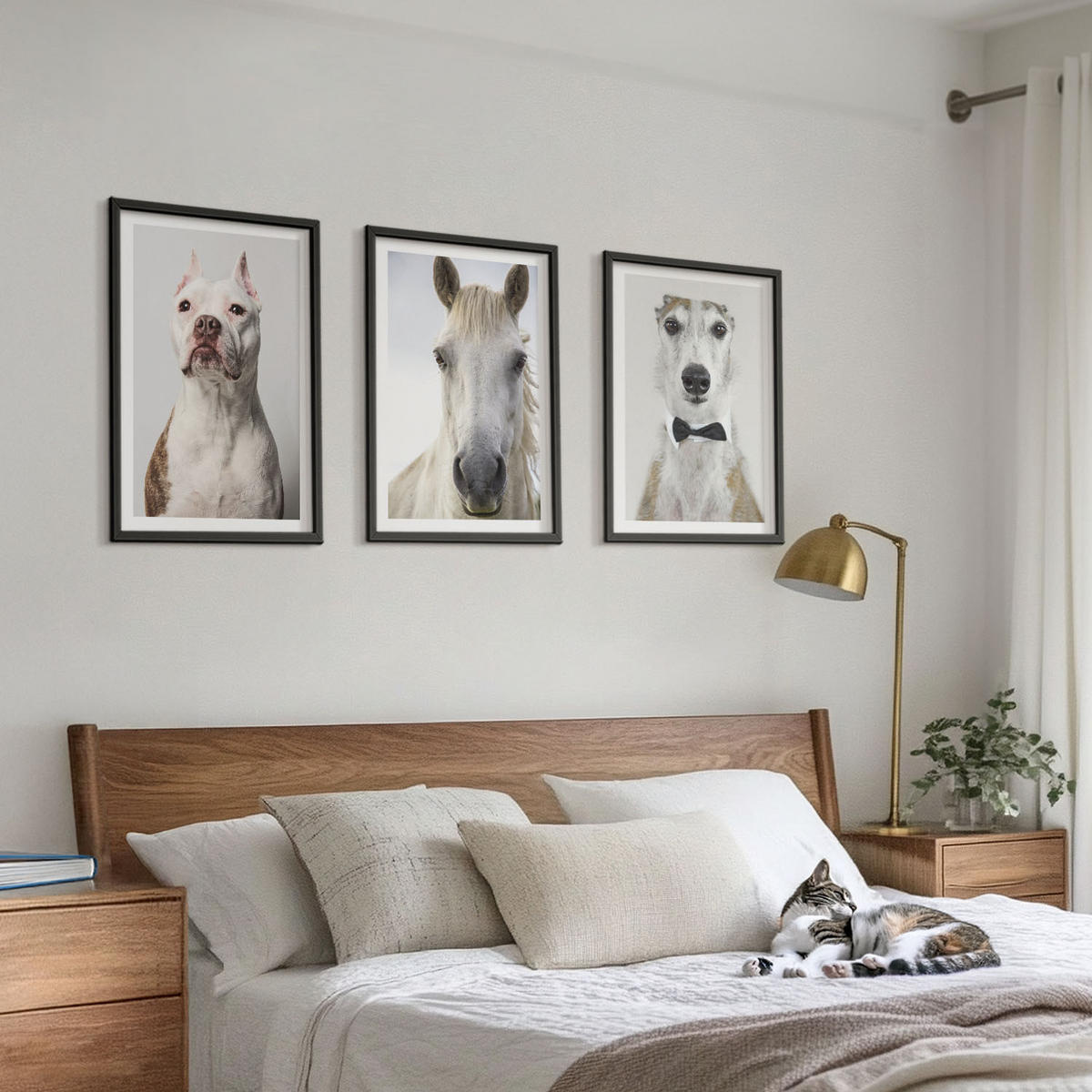BILDER SET 3er Set - 40x60 cm Schwarzer Rahmen - Elegante Porträts von Hunden und Pferden - Schwarz, Kunststoff (40/60cm) - TULUP
