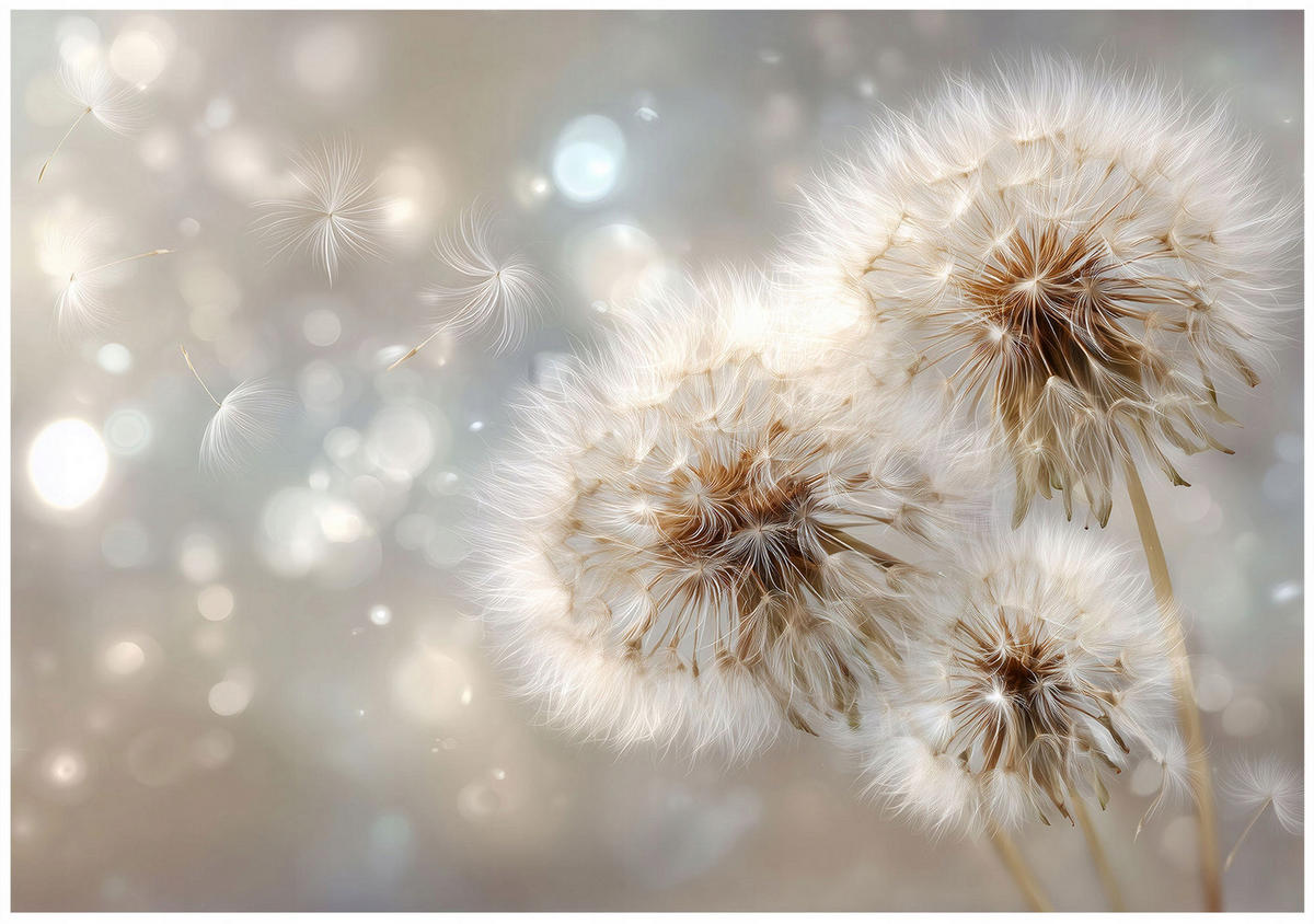 FOTOTAPETE Pusteblumen Blumen Beige 200x140 cm - Multicolor, Papier (200/140cm) - Wallarena