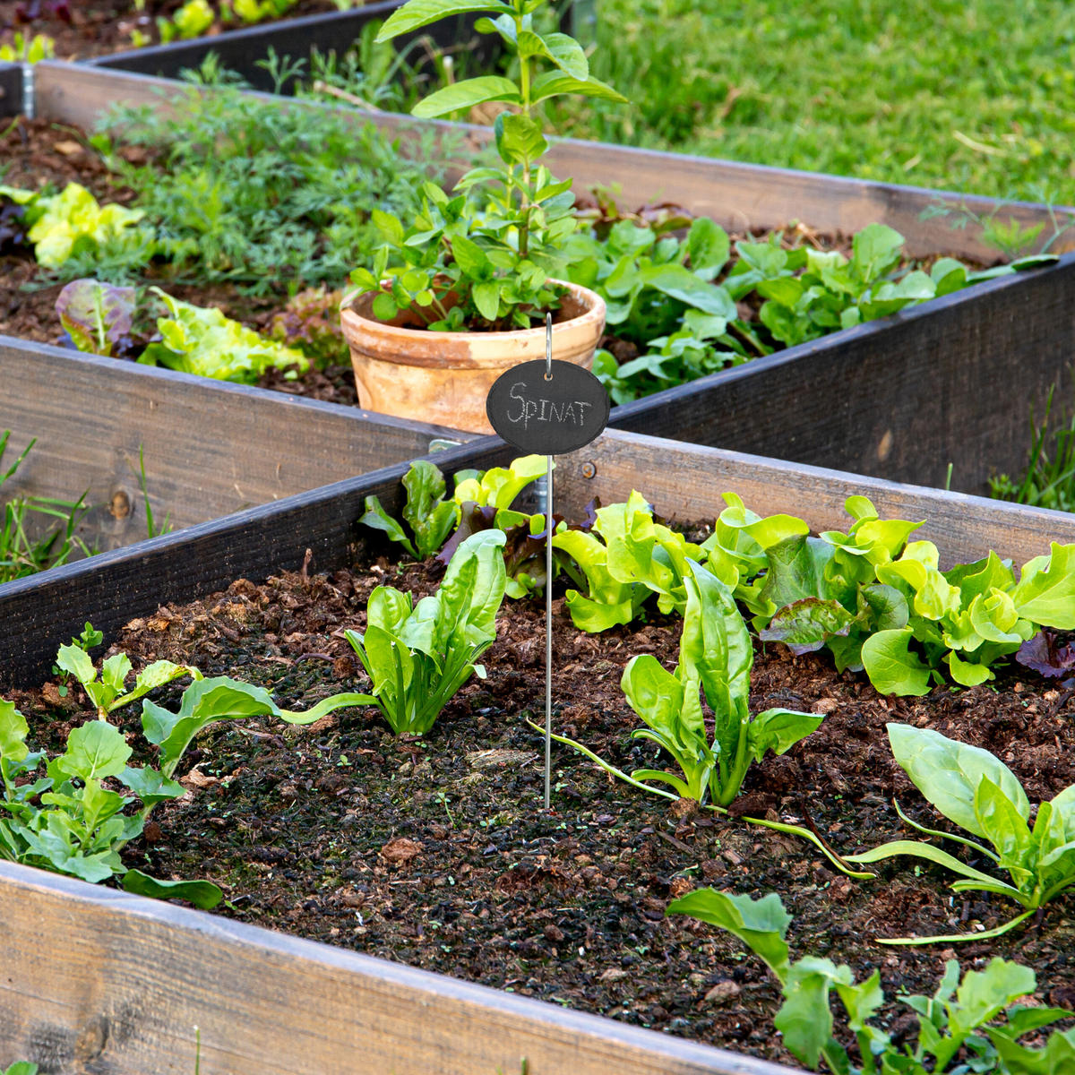 12XSCHIEFER-PFLANZENSCHILDER - Multicolor, Stein/Metall (9/42/6cm) - Relaxdays