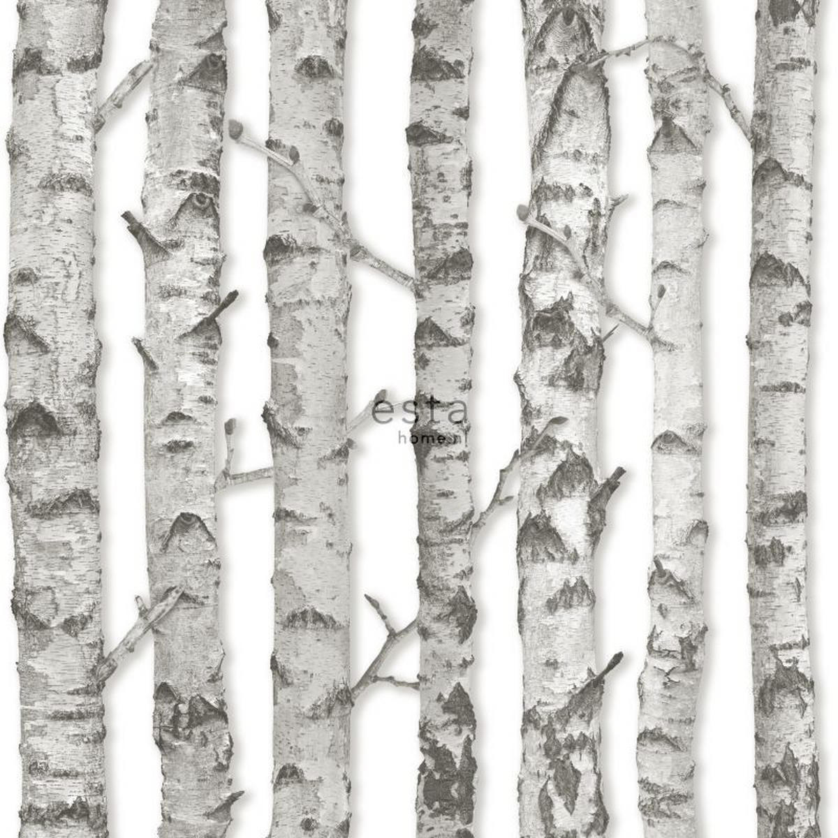 TAPETE Birkenstämme 53 cm x 10.05 m - Grau, Papier (53/1000cm) - ESTAhome