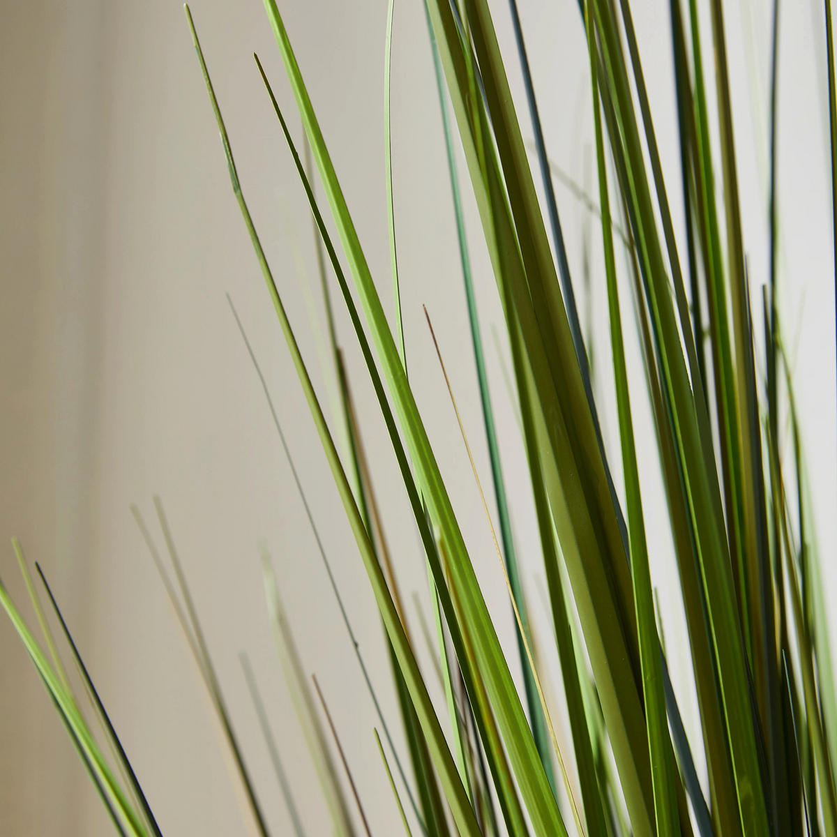 KUNSTPFLANZE Künstliches Gras – Selwyn 60 cm - Grün, Kunststoff (60cm) - aplanta