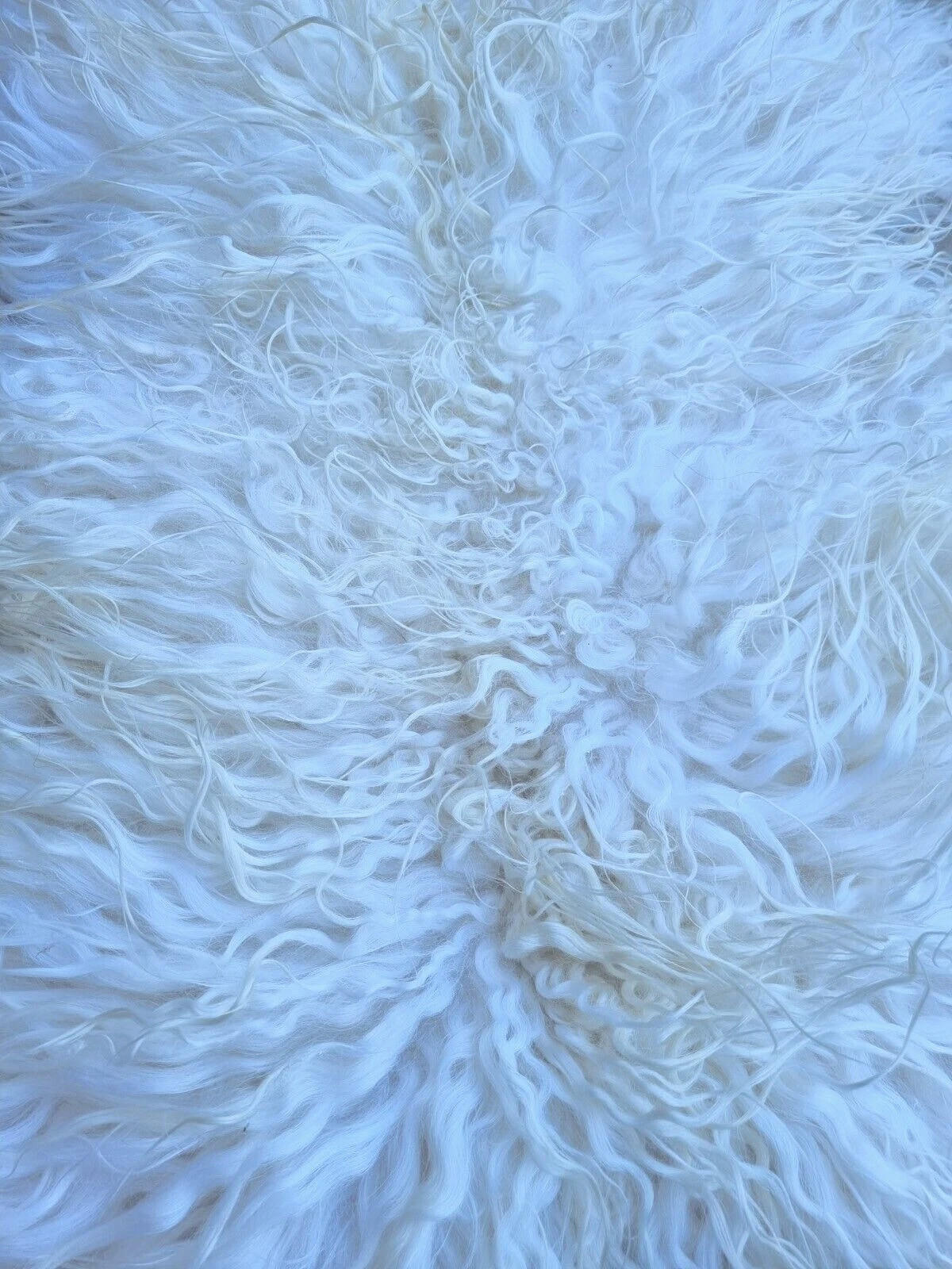 LAMMFELL Island Langhaar natur lockig weich Premium Naturweiß ca. 105 cm - Weiß, Fell (55/105cm) - Provellus