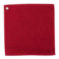 HANDTUCH MIT ÖSE Curl apfel 50 x 50 cm - Apfelbaumfarben, Textil (50/50cm) - Winkler