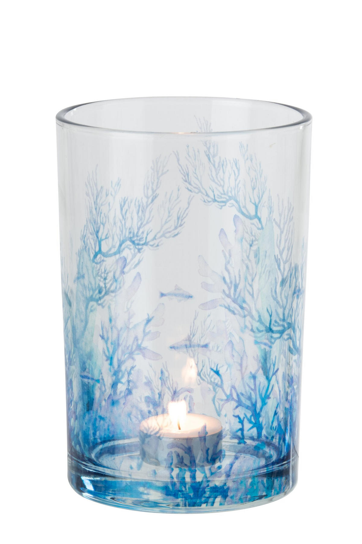 WINDLICHT KORALLE - Blau, Glas (12/18cm) - J-Line