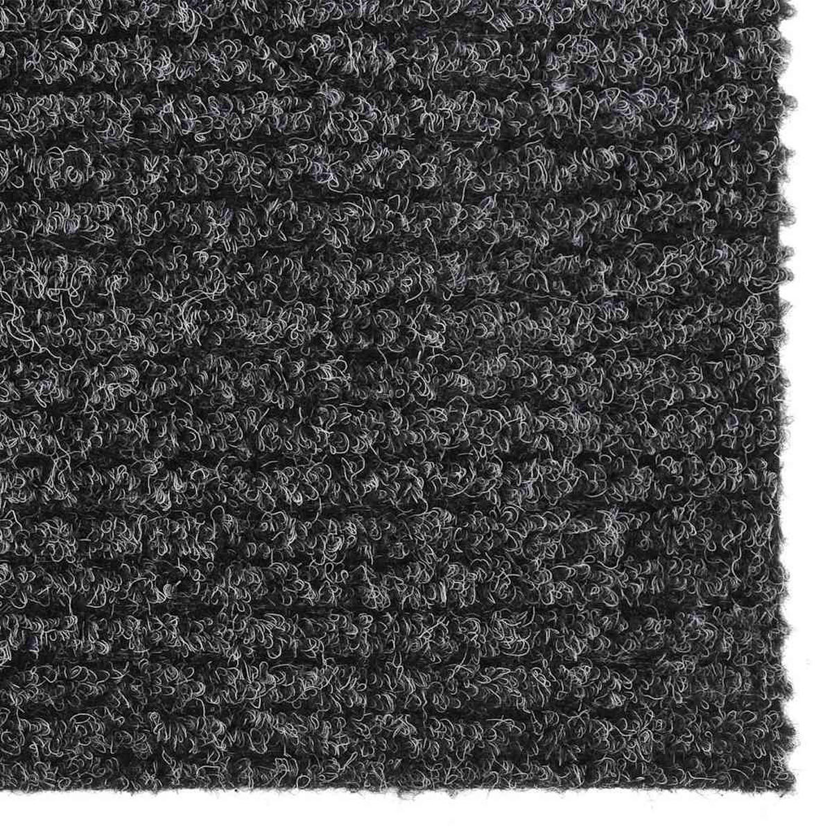 SCHMUTZFANGMATTE 100/100 cm Anthrazit - Anthrazit, Kunststoff/Textil (100/100cm) - vidaXL