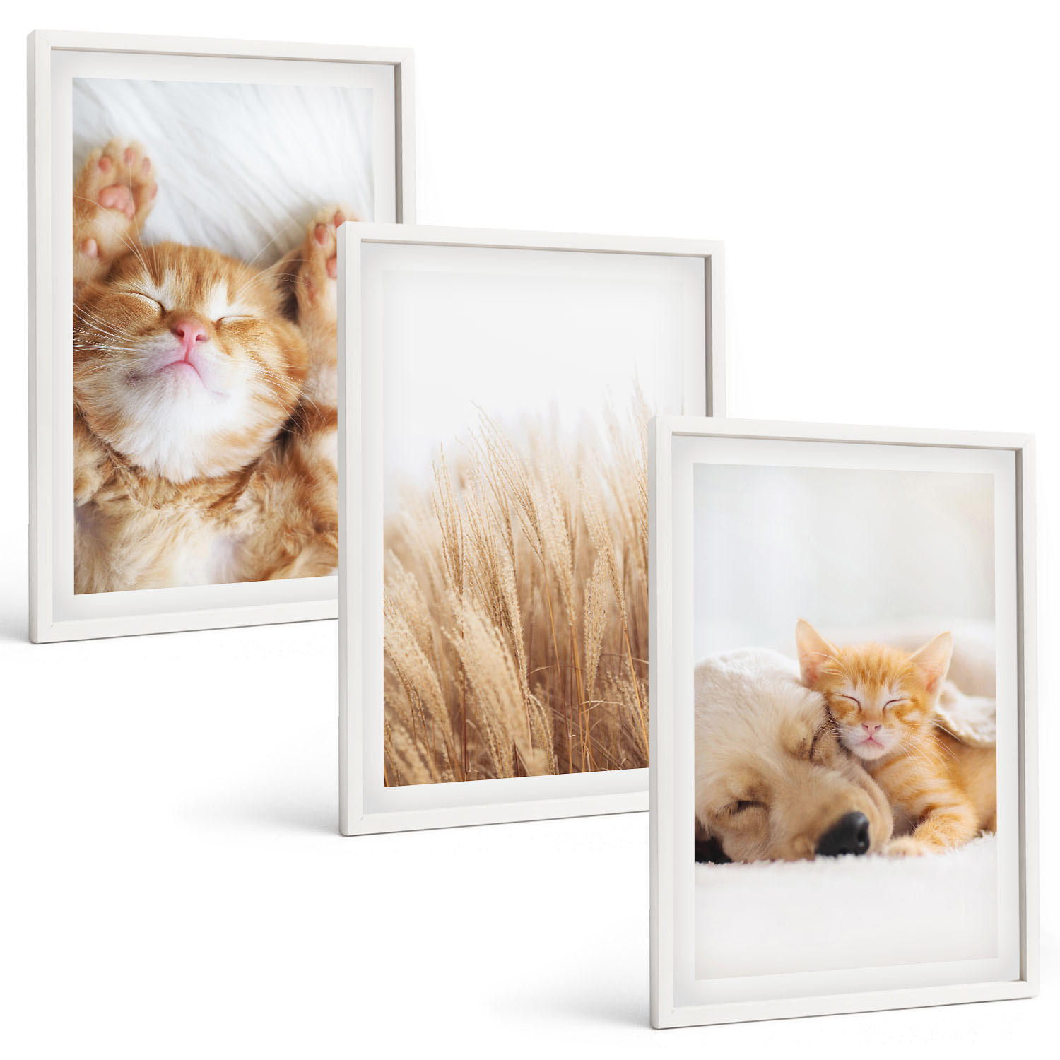 BILDER SET 3er Set - 40x60 cm Weißer Rahmen - Niedliche Tiere, Katzen, Hunde, Boho-Stil - Weiß, Kunststoff (40/60cm) - TULUP