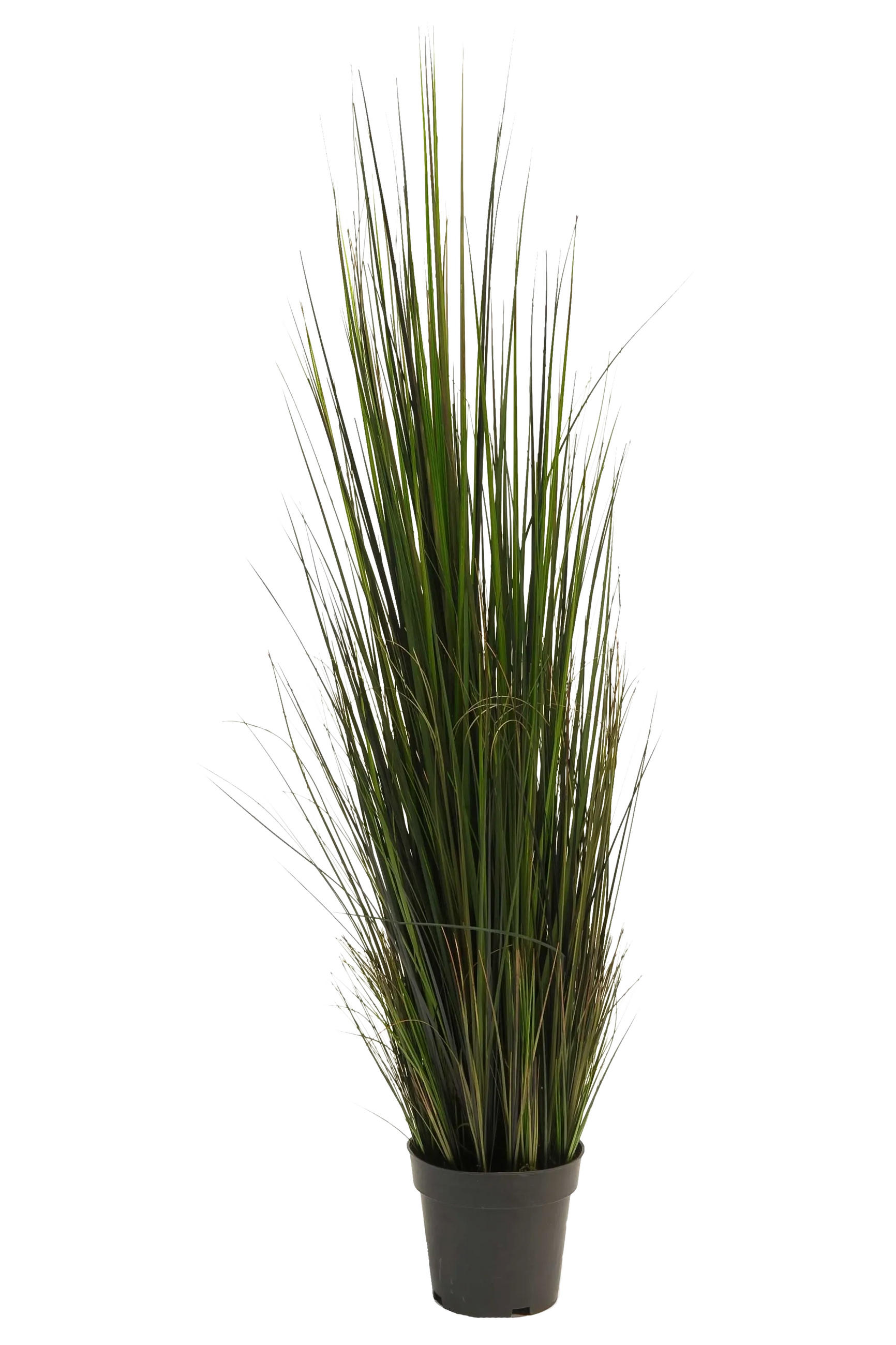 KUNSTPFLANZE Künstliches Gras - Hanno 120 cm - Grün, Kunststoff (120cm) - Emerald