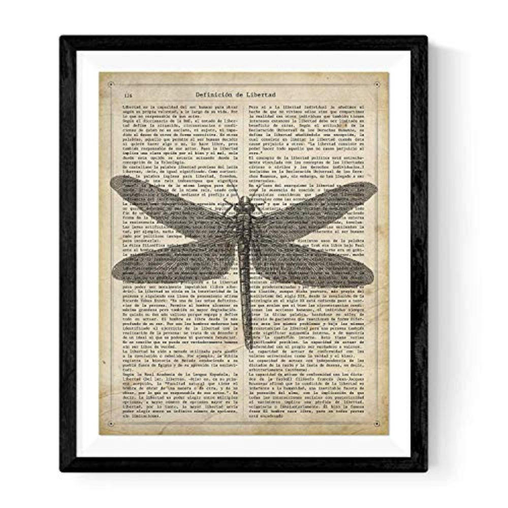 POSTER „Libelle“. A4 Schwarzer Rahmen - Schwarz, Papier (29.7/5/21cm) - Nacnic