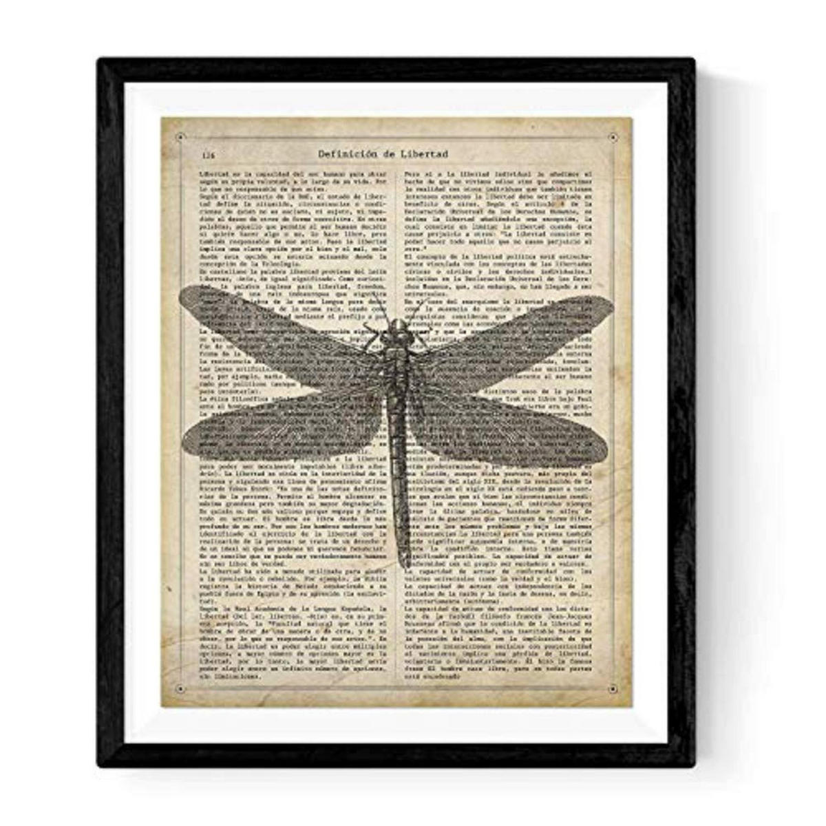 POSTER „Libelle“. A4 Schwarzer Rahmen - Schwarz, Papier (29.7/5/21cm) - Nacnic