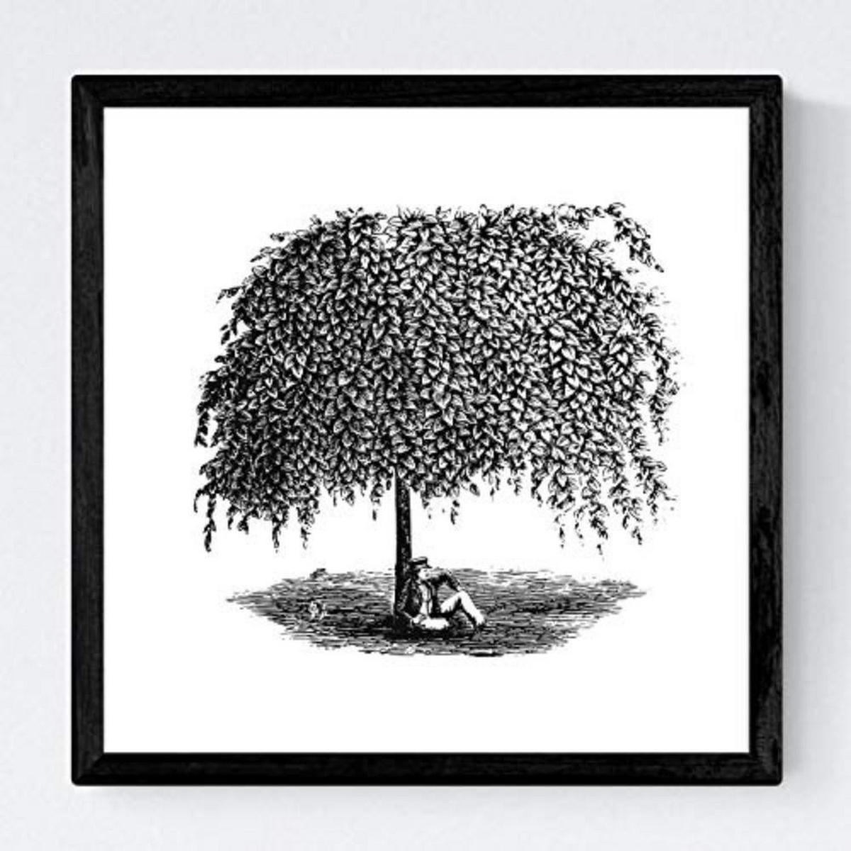 POSTER Set mit 4 Blättern der Bäume Weiden weiß 20x20cm Rahmenlos - Klar, Papier (20/3cm) - Nacnic