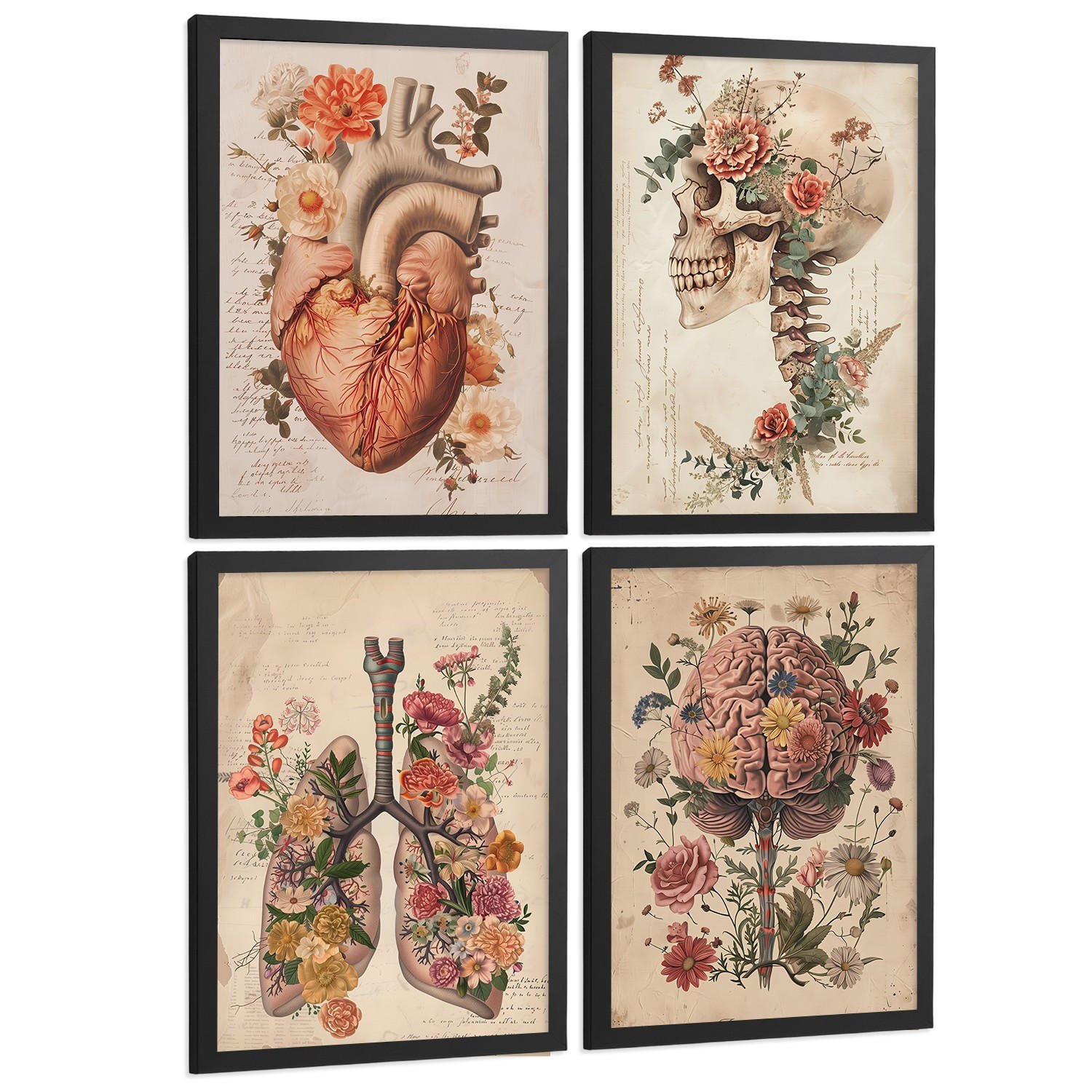 POSTER Set aus 4 Vintage Anatomie Drucke und Wandbilder mit Blumen Herz Lungen Schädel und Gehirn Wanddekoration Größe Schwarzer Rahmen A3 - Schwarz, Papier (29.7/42/3cm) - Nacnic