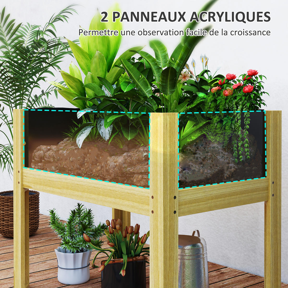 HOCHBEET DE-16003 mit Acryl-Paneelen Natur - Naturfarben, Holzwerkstoff (75/60.5/46cm) - ComfortXL