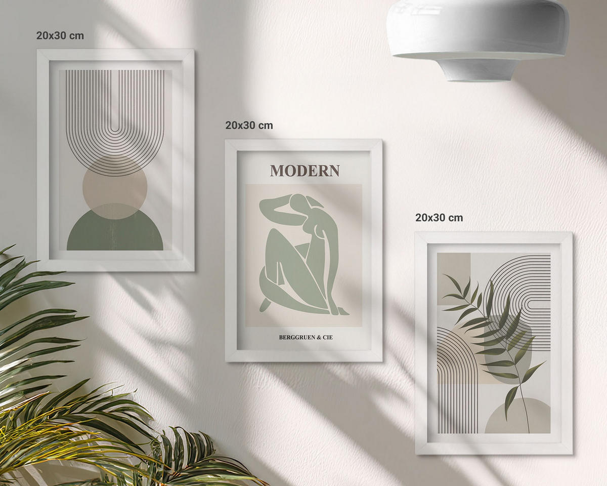 WANDBILDER 3er-Set - 20x30 cm Weißer Rahmen - Stilvolle Pflanzengrafiken - Weiß, Kunststoff (20/30cm) - ArtPrintCave