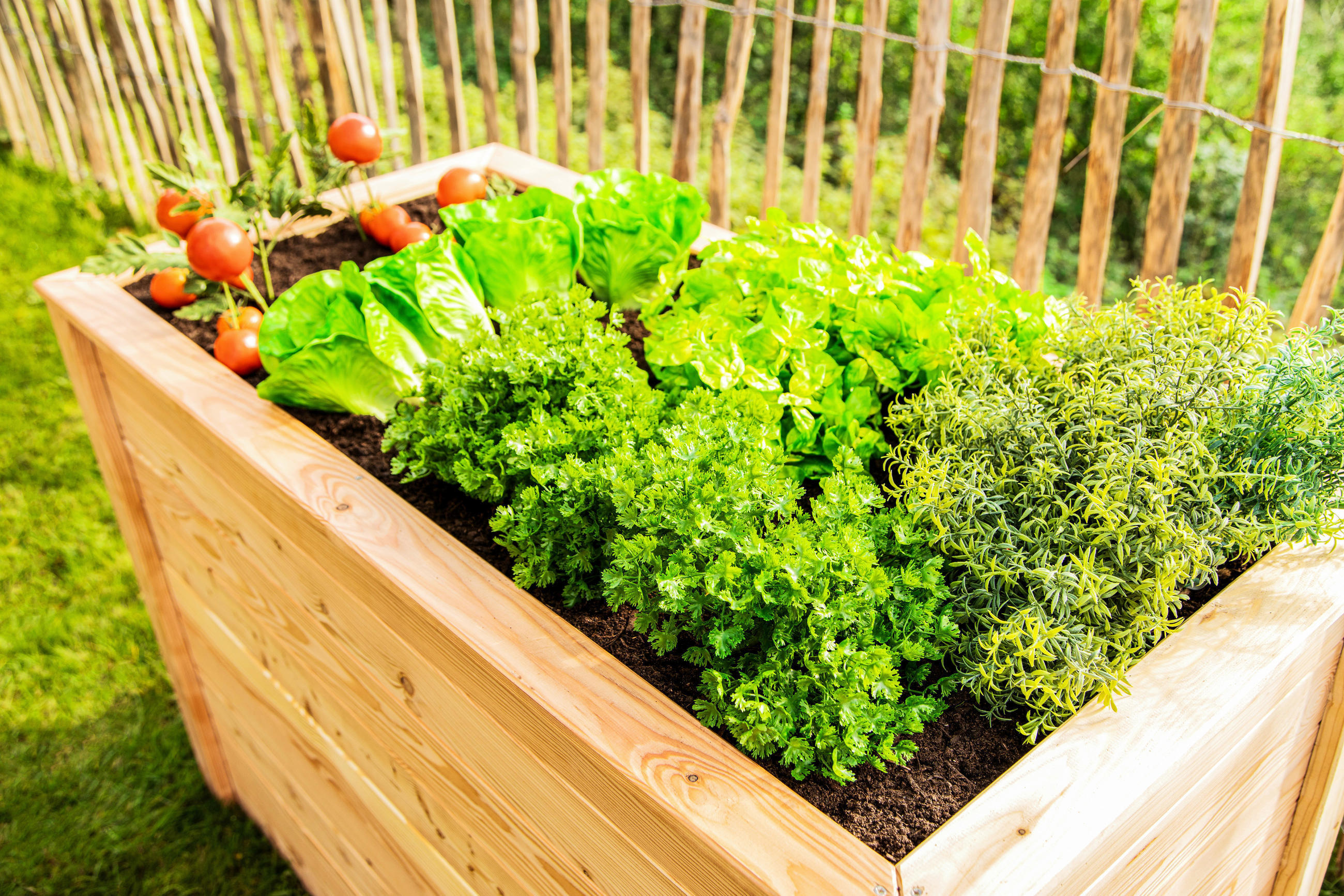 vyvýšený záhon, pestovanie byliniek