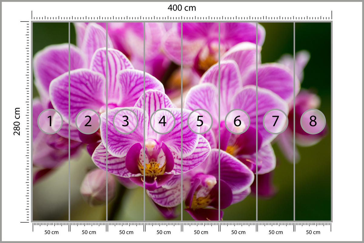 FOTOTAPETE für Wohnzimmer Violetter Orchideenstrauß Blumen 400x280 - Violett/Rosa, Papier (400/280cm) - Muralo