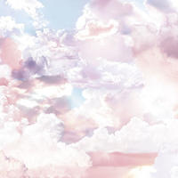 FOTOTAPETE Wolken 300 x 250 cm - Pink, Papier (300/250cm) - Sanders & Sanders
